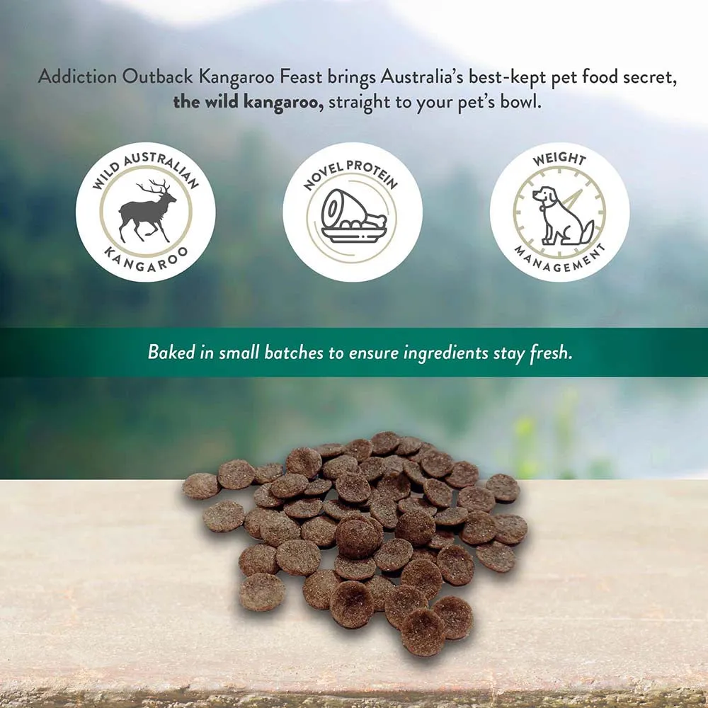 Addiction Dog Grain-Free Wild Kangaroo & Apples 20lb