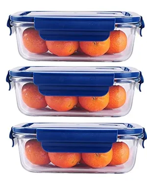 Ash & Roh® 660 ML Glass Food Storage Containers with Blue Lids, Glass Meal Prep Containers, Airtight Glass Lunch ,BPA Free & Leak Proof (3 PACK, SQUARE)