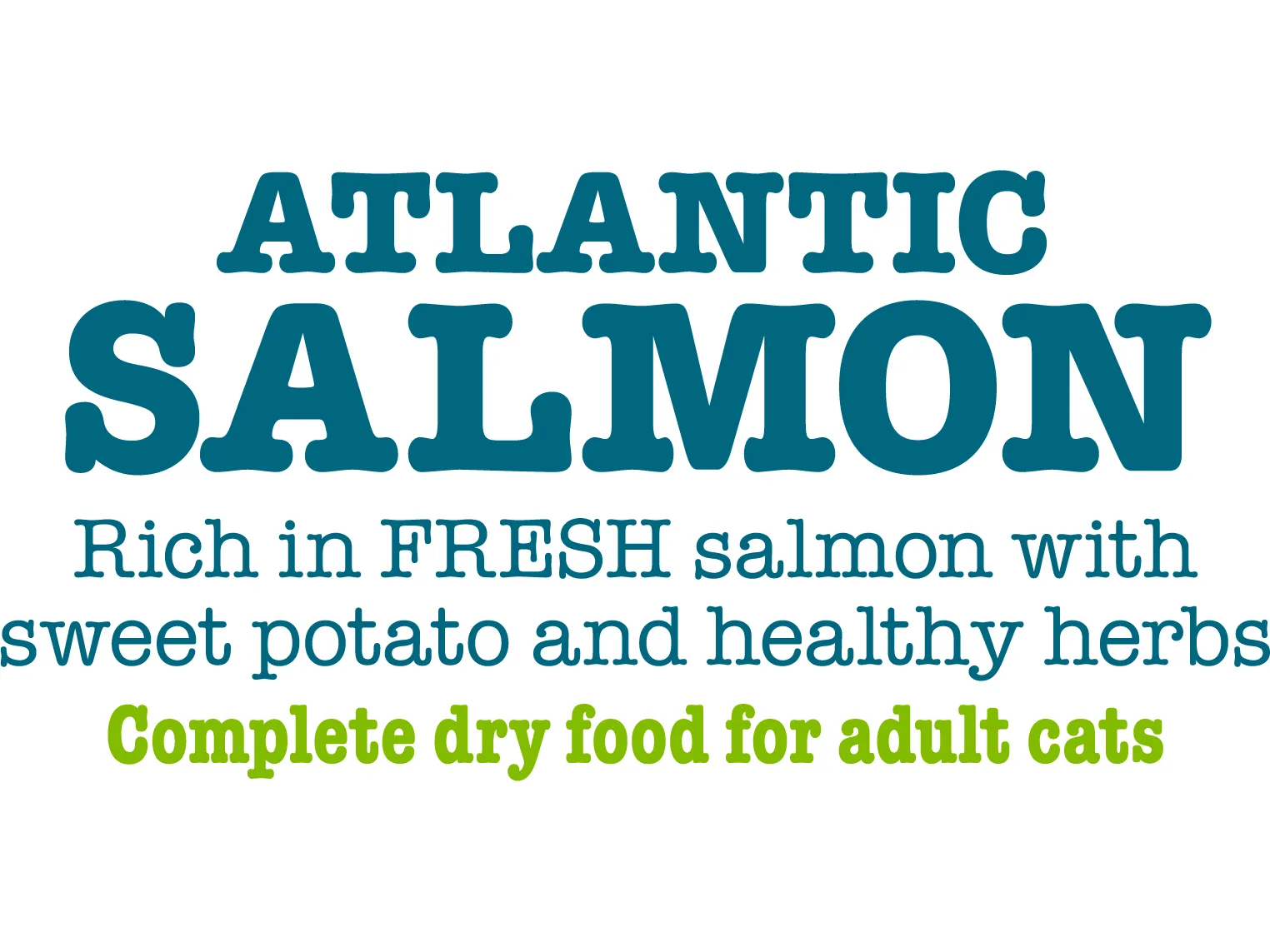 Atlantic Salmon Complete dry food for Adult Cats 350gm /Little BigPaw