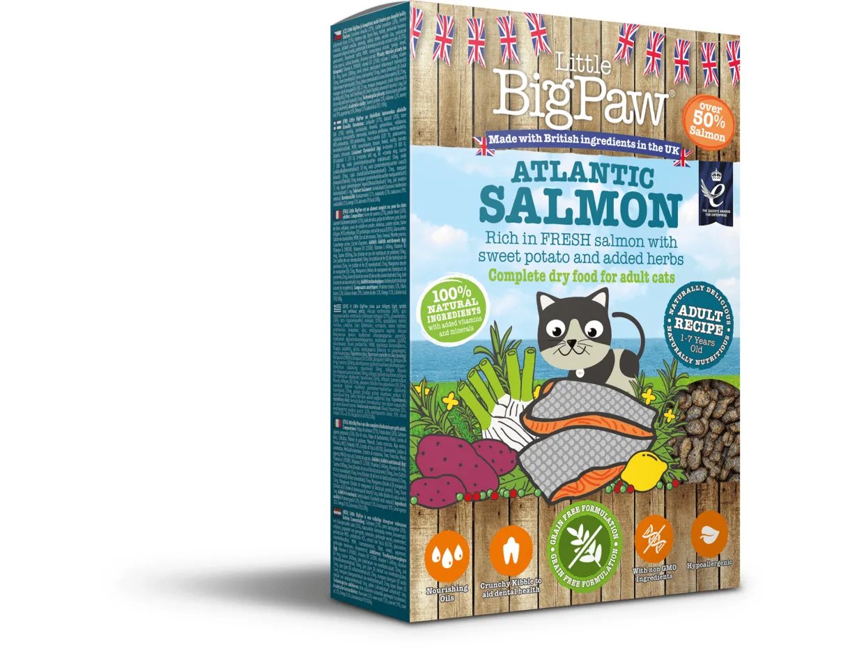 Atlantic Salmon Complete dry food for Adult Cats 350gm /Little BigPaw