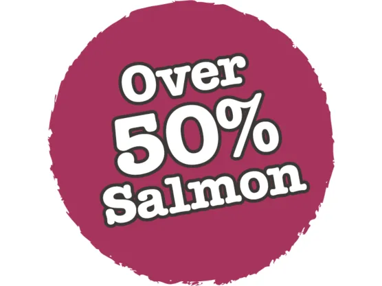 Atlantic Salmon Complete dry food for Adult Cats 350gm /Little BigPaw