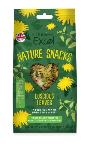 Burgess Excel Luscious Leaves 60g - Case of 6