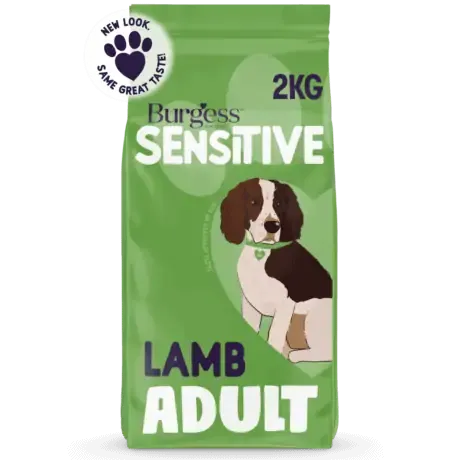 Burgess Sensitive Adult Lamb & Rice