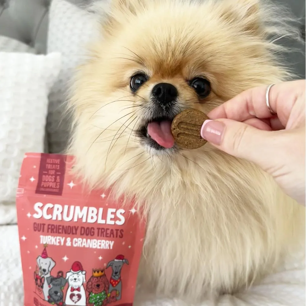 Christmas Dog Treats Turkey Softies