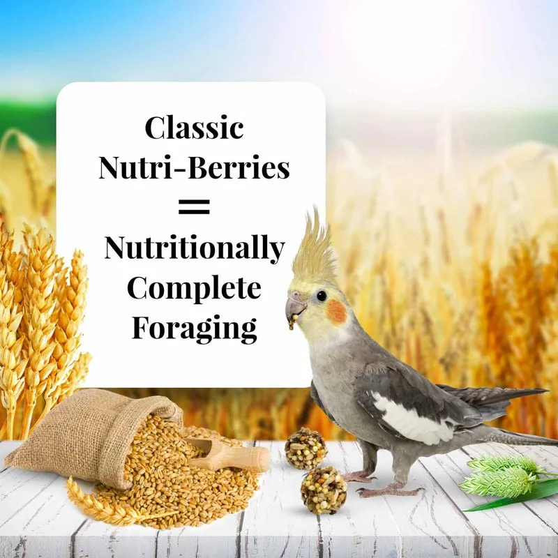 Lafeber Classic Cockatiel Nutri-Berries, 10 oz bag