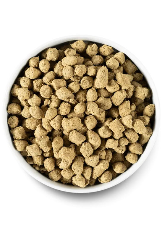 Open Farm Harvest Chicken Freeze Dried Raw Dog Food