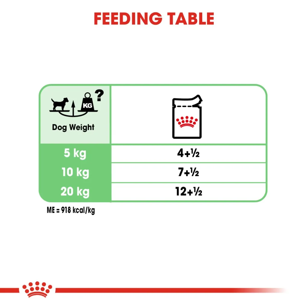 Royal Canin Digestive Care Loaf Pouches