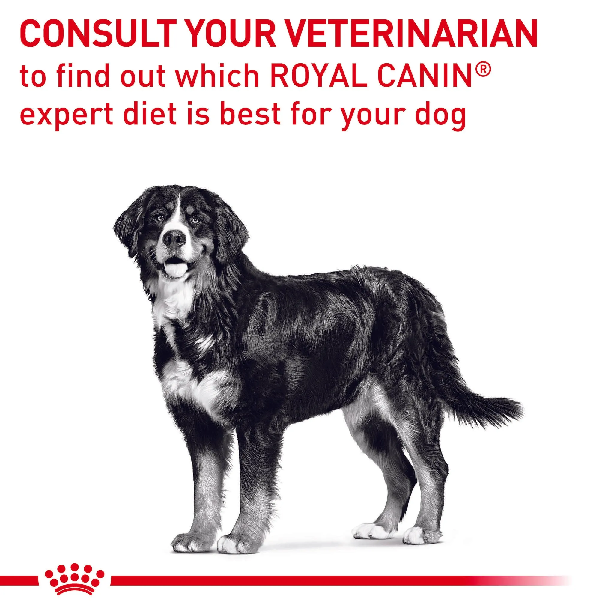 Royal Canin Veterinary Diet Neutered Adult Large Dog Dry Food 12kg