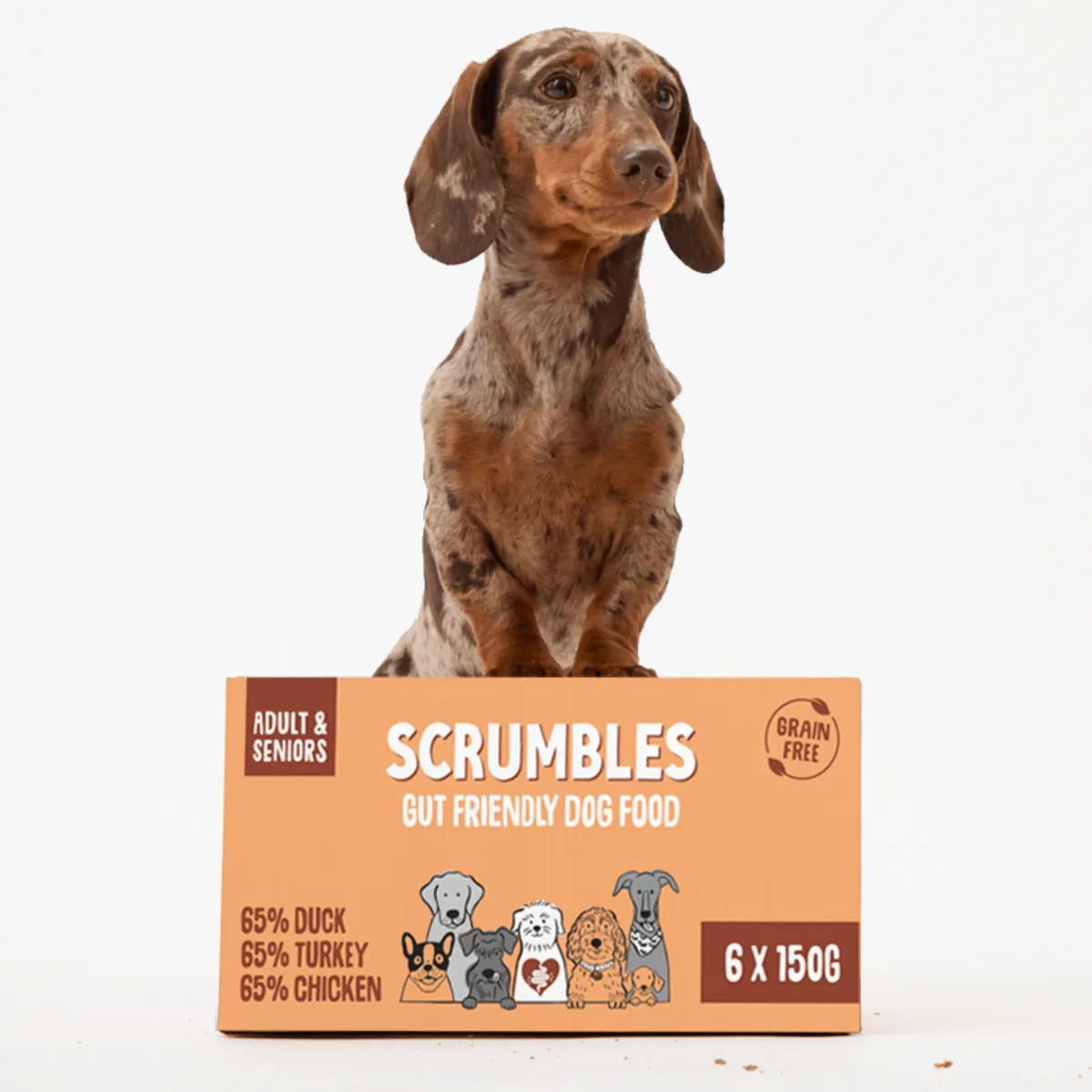 Sensitive Poultry Wet Dog Food Variety Pack (150g)