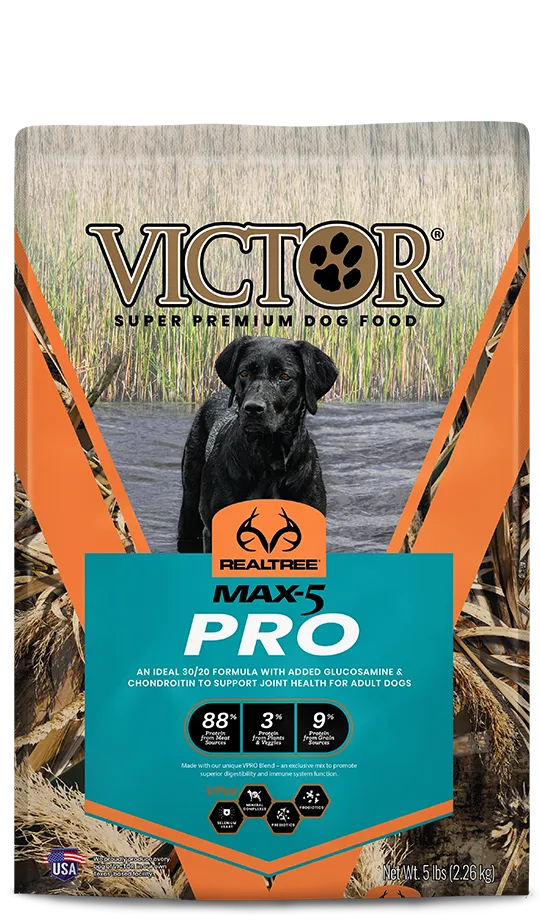 VICTOR Realtree® MAX-5 PRO for Dogs