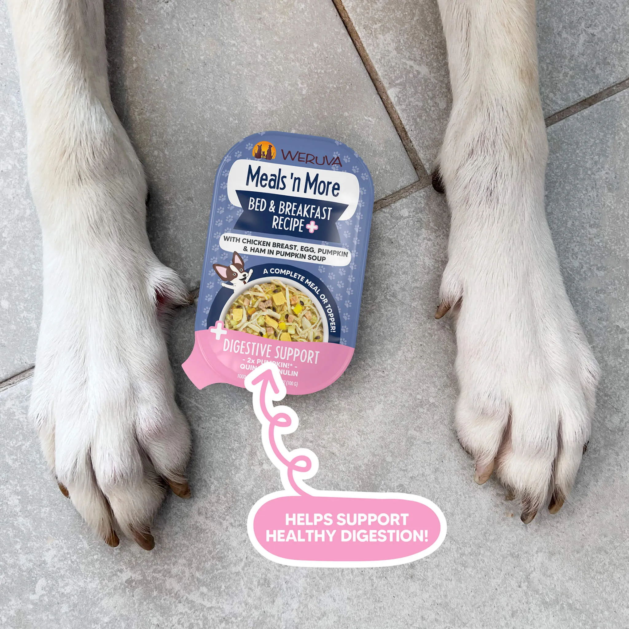 Weruva Meals 'n More Digestion Support Wet Dog Food