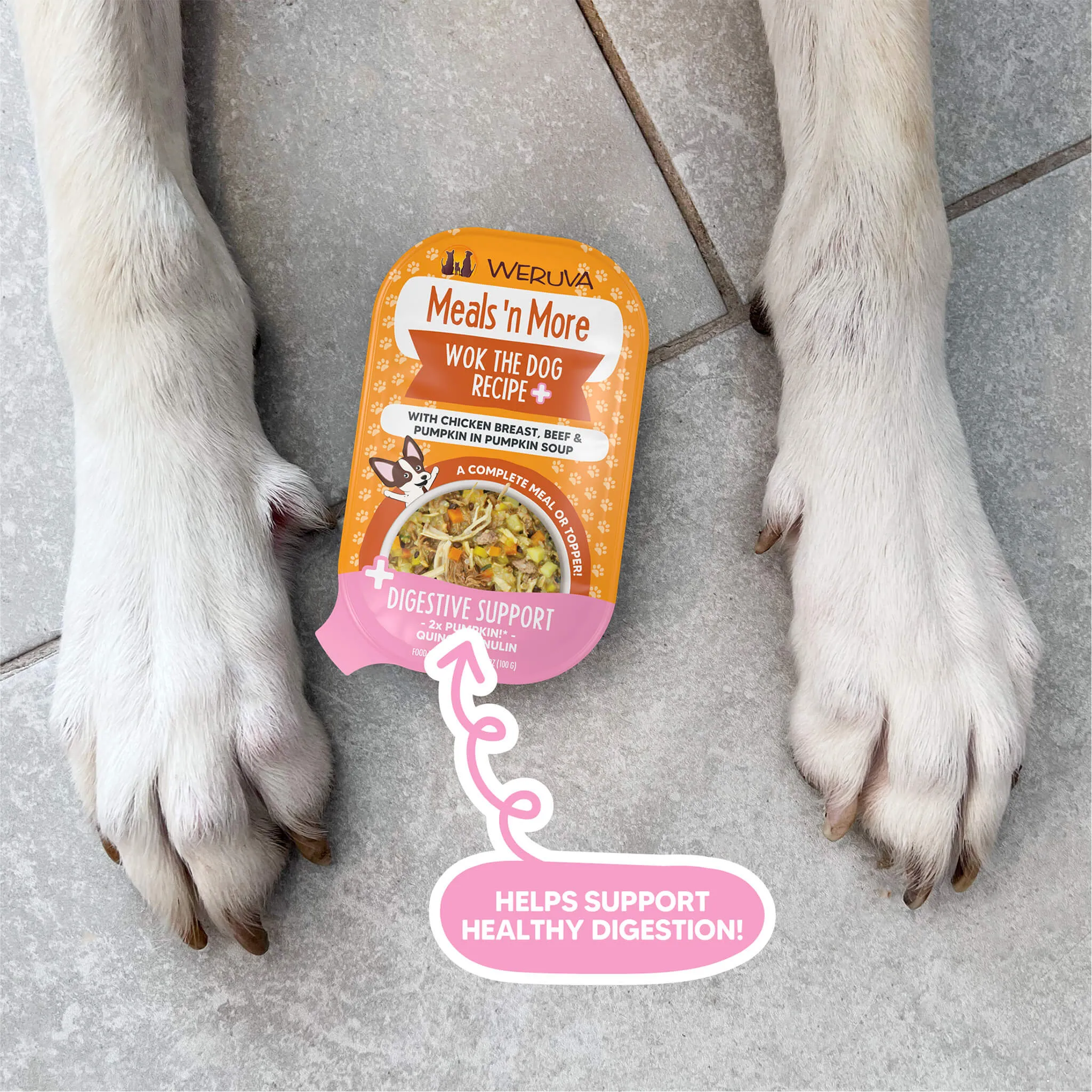 Weruva Meals 'n More Digestion Support Wet Dog Food