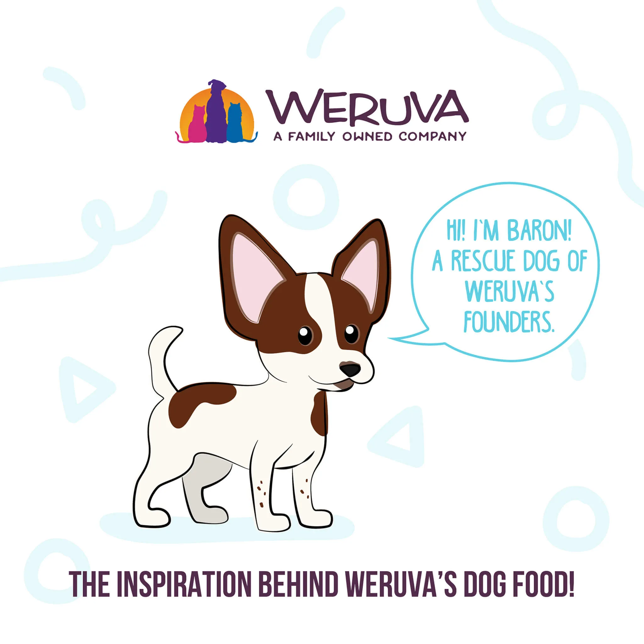 Weruva Meals 'n More Digestion Support Wet Dog Food