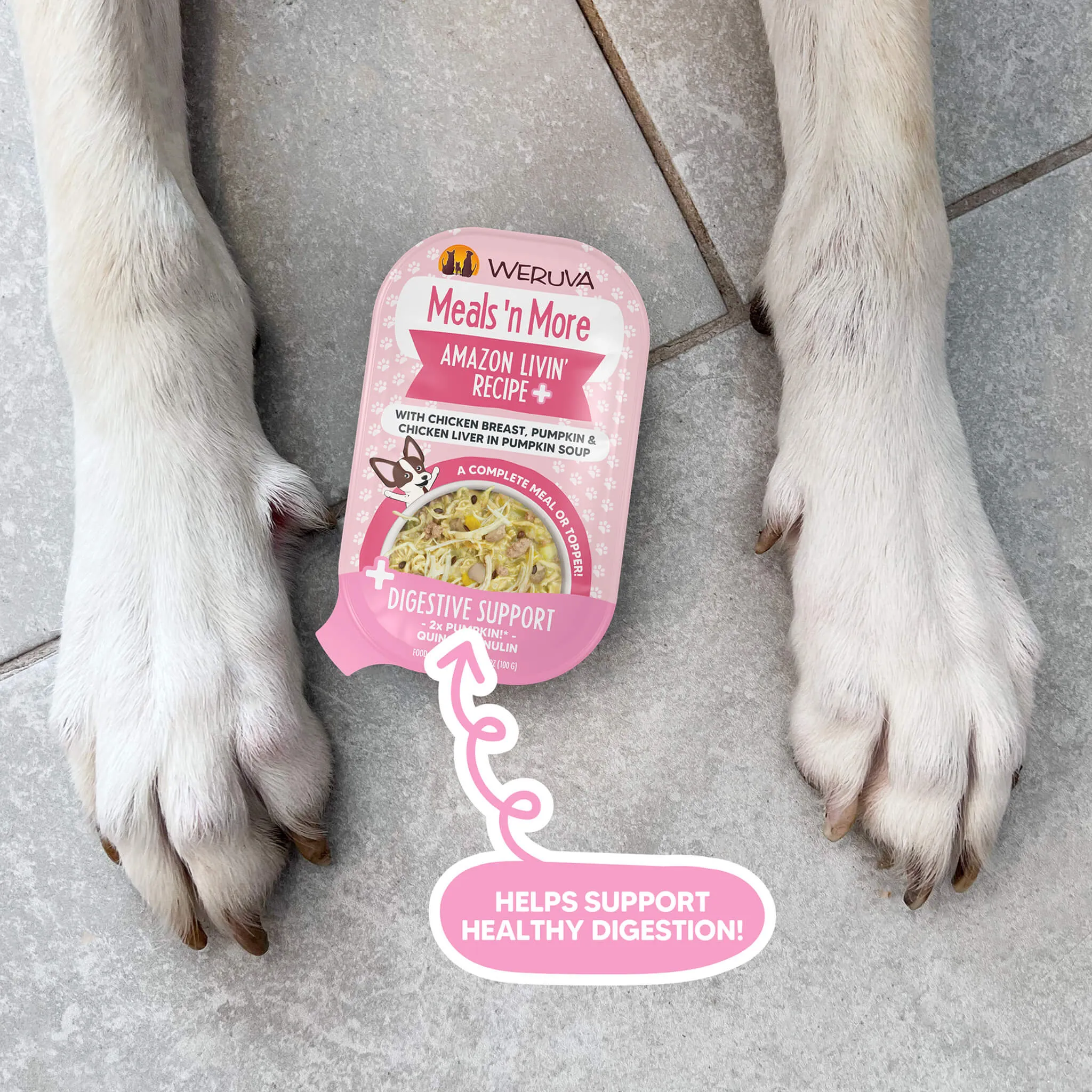 Weruva Meals 'n More Digestion Support Wet Dog Food